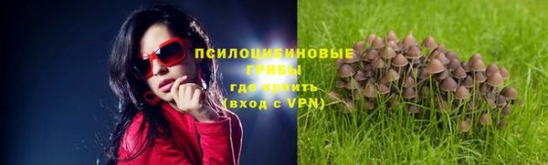 jwh Михайлов