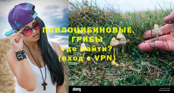 jwh Михайлов