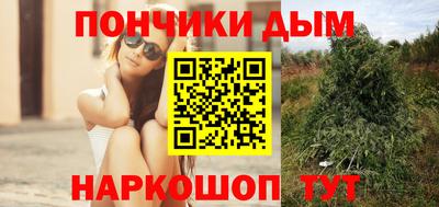 шишки Волжский